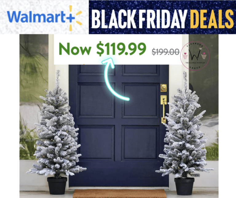 Seasonal LLC 4 Ft Set of 2 Estes Pine Flocked Porch Trees!